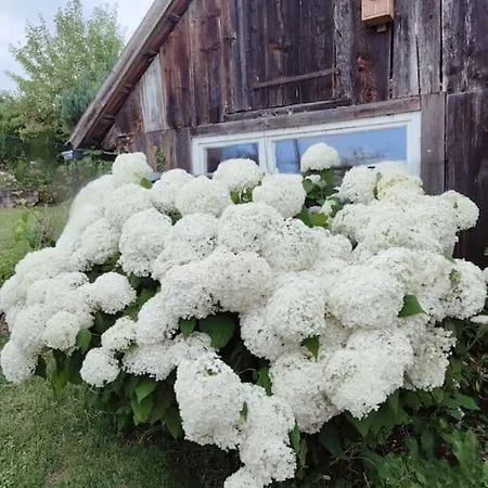 Gemütliche Im Retrostil