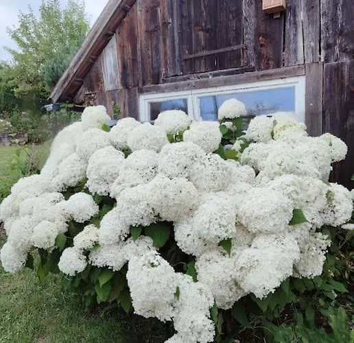 Gemuetliche Im Retrostil